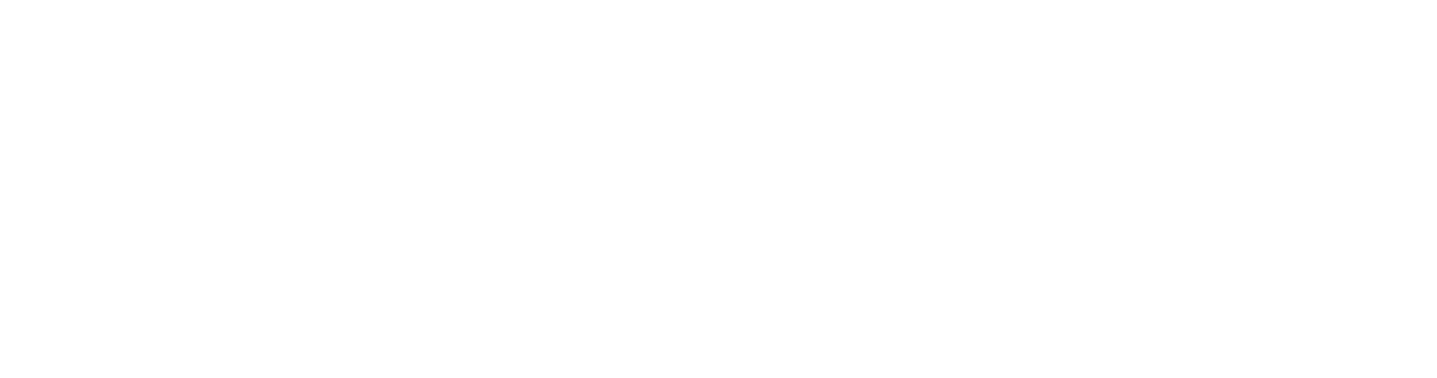 Ortus Technologies Ortus Technologies Logo