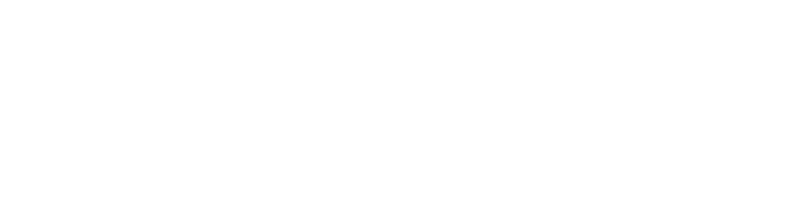 Ortus Technologies Logo